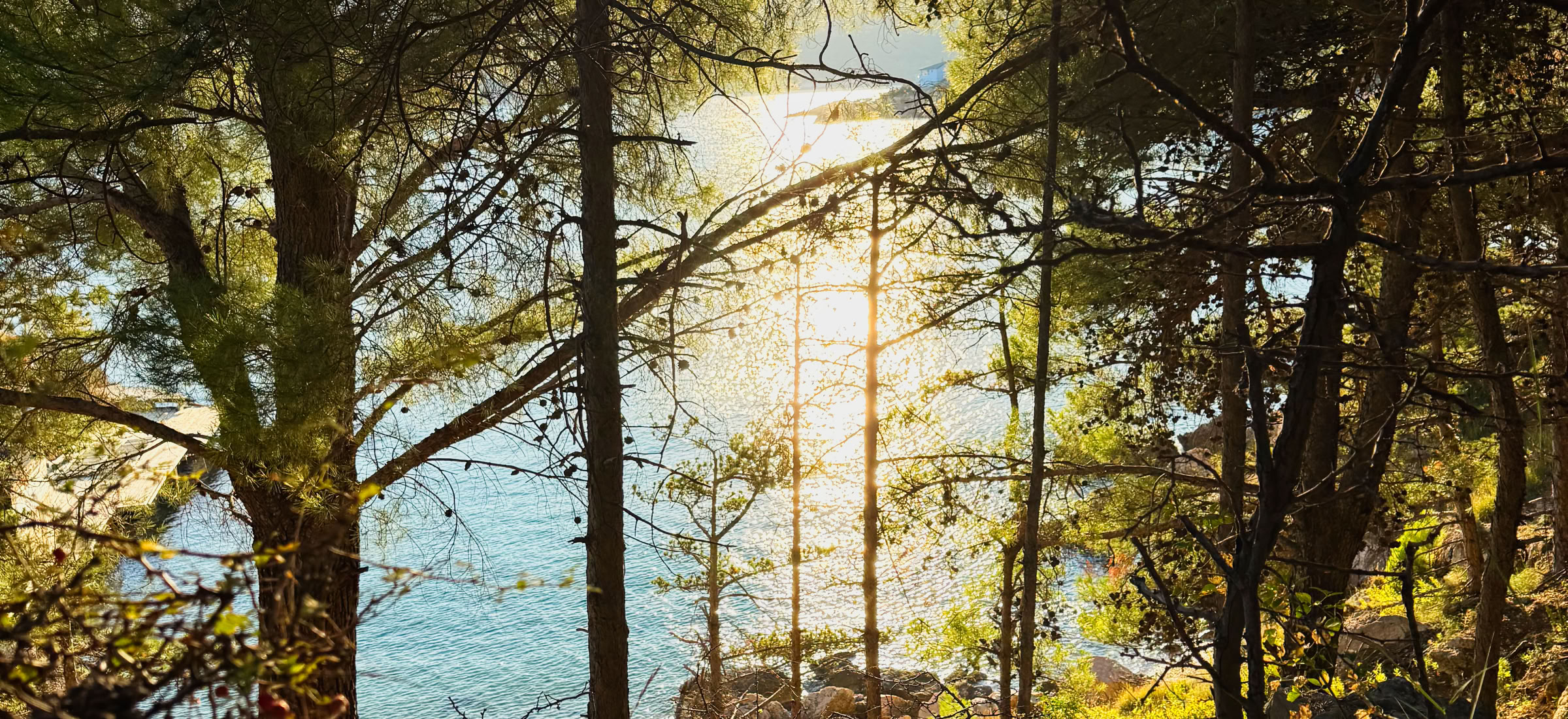 Reikiausbildung im Reiki-Zentrum Marbach an der Donau bei Wolfgang Pachatz