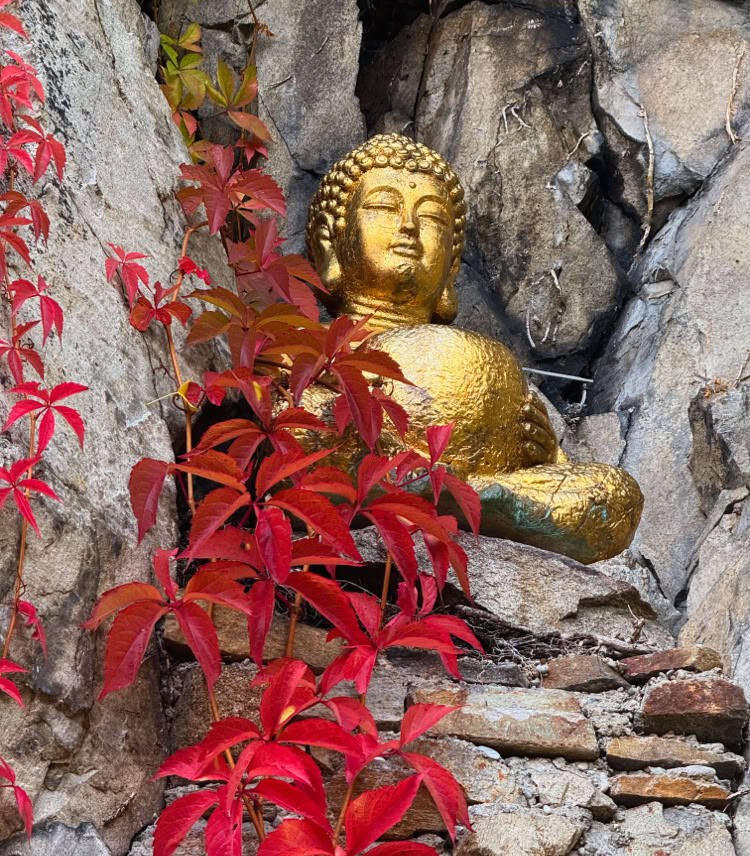 Reiki Ausbildunge, Behandlung im bezirk melk, wolfgang pachatz, marbach an der donau